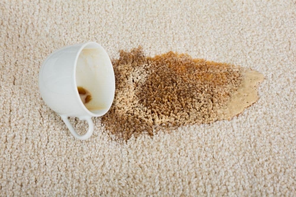 5 Common Carpet Stains and How to Treat Them